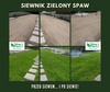 Zielony Spaw Siewnik Pchany