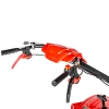 GLEBOGRYZARKA SPALINOWA CEDRUS GLX-GT65-2L LONCIN