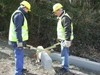 RĘCZNY CHWYTAK UNIWERSALNY PROBST HTOOLPL-BVZ DO ELEMENTÓW BETONOWYCH