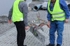 RĘCZNY/ZAWIESZANY CHWYTAK UNIWERSALNY PROBST EASYGRIP EXG-MAXI DO ELEMENTÓW BETONOWYCH I KAMIENNYCH