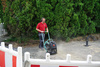 ZAGĘSZCZARKA 92 KG AMMANN APF 1550 15/50, 500 MM, HONDA GX120