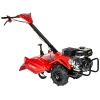 GLEBOGRYZARKA SPALINOWA CEDRUS GLX-GT65-2L LONCIN